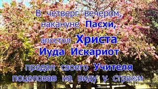 Иуда предал Христа за 30 сребреников и повесился на дереве, цветы которого стали красными навсегда