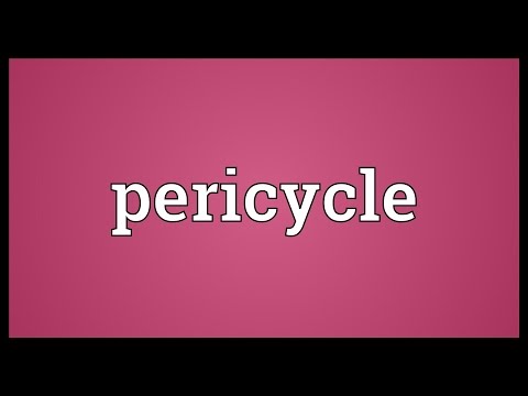 Header of pericycle
