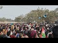 ধানের শিষের সমাবেশ