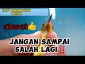 ciri" sogon ijoan 100% betina‼️jangan sampai salah lagi