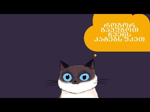 როგორ გავუგოთ ჩვენს კატებს უკეთ (ნაწილი 1: კუდი)