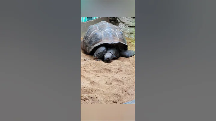 Plzeň ZOO #zoo #beautifulpalace #travel #europe #animals