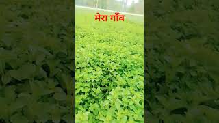 गाँव🚜 #funnt
