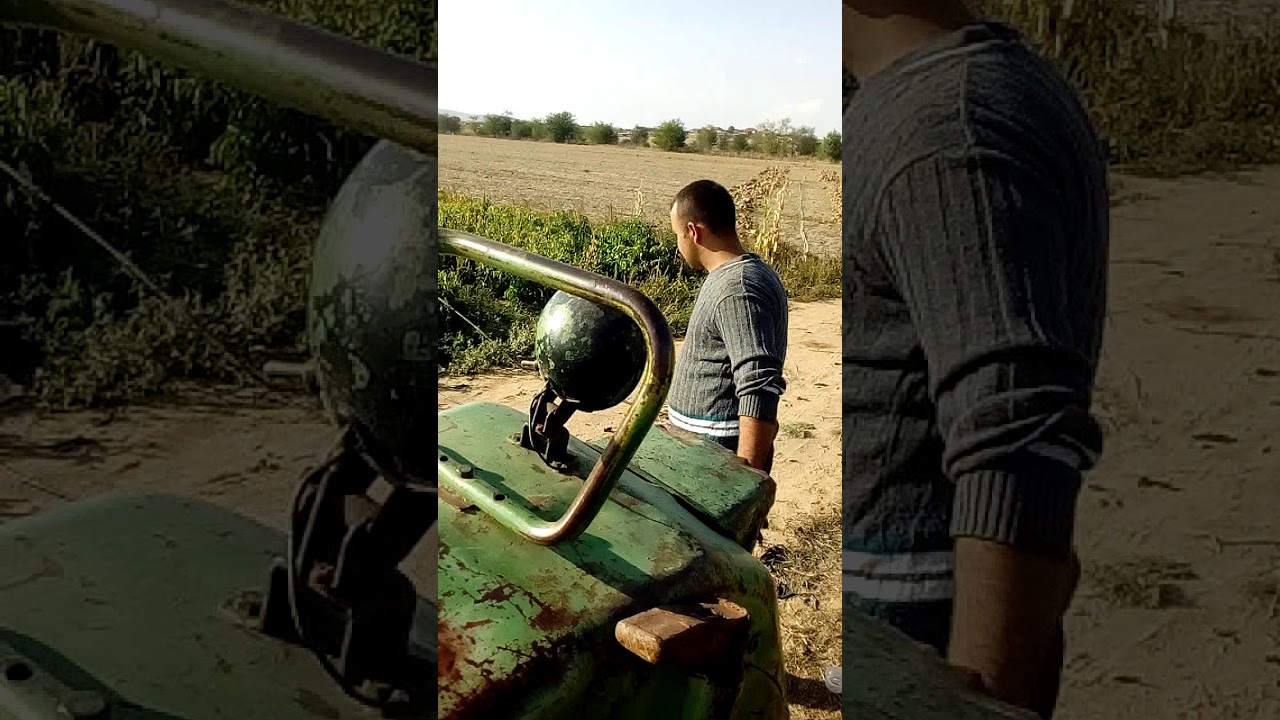 Kanatlar koyu.  Damla toplamasi