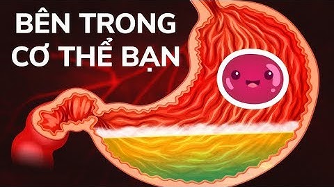 Cơ Thể Người Ký Sự