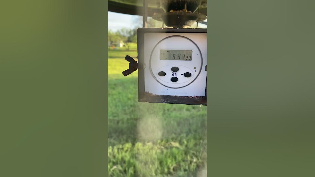 Setting your digital American hunter deer feeder. YouTube