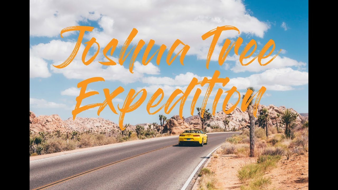 Joshua Tree Expedition