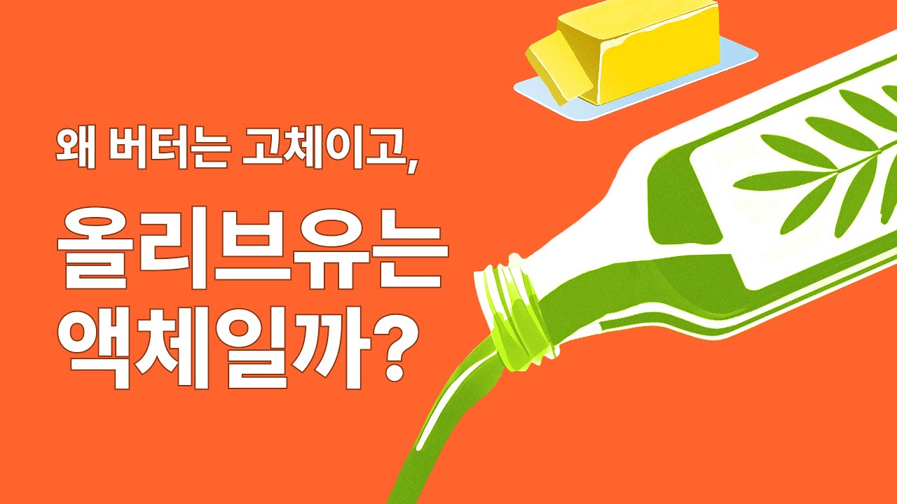왜 버터는 고체이고, 올리브유는 액체일까?