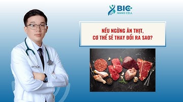 NẾU NGỪNG ĂN THỊT, CƠ THỂ SẼ THAY ĐỔI RA SAO? | BIC NANO CELL - BS KẾT