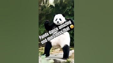 Panda dance amazing end don’t miss that 🤩