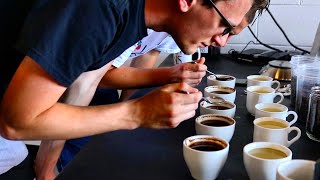 FANCY COFFEE TASTING (Coffee Vlog #15)