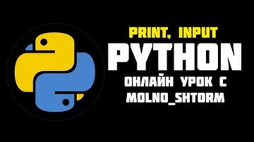 Official Video | MOLNO_SHTORM Games | ИЗУЧАЕМ КОМАНДЫ: PRINT, INPUT И ИХ СВЯЗКИ. ЯЗЫК: PYTHON