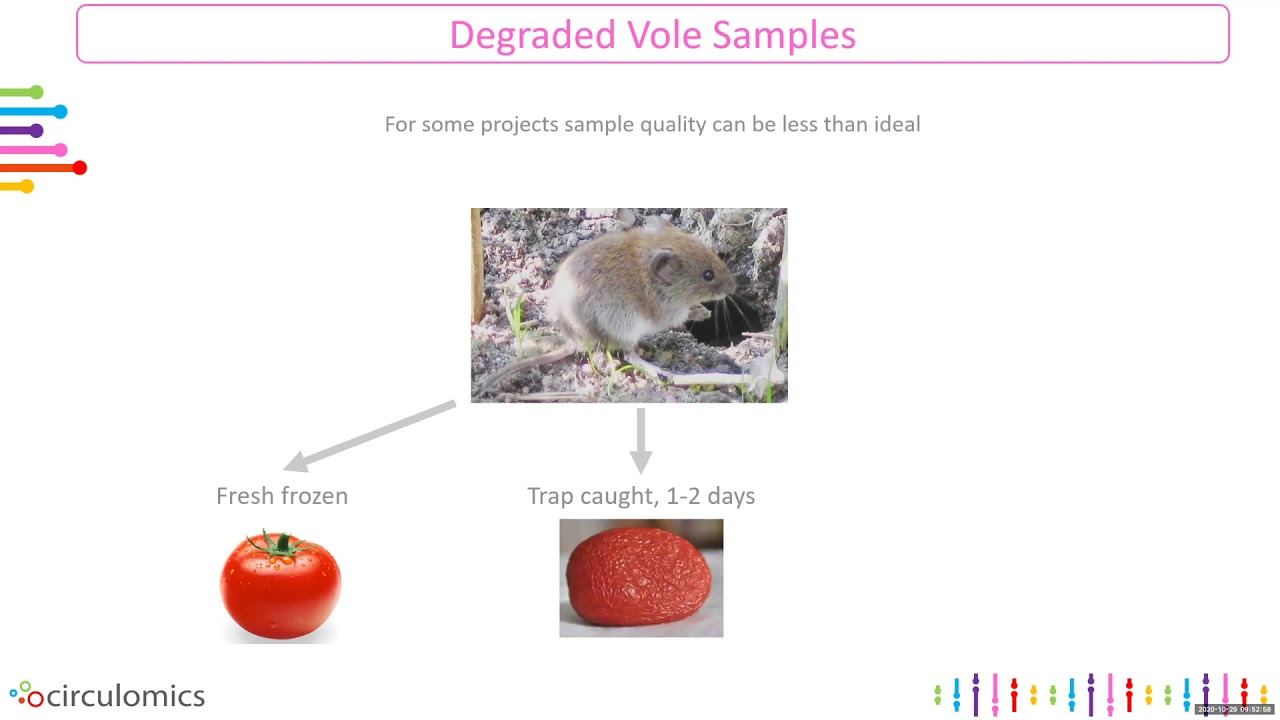 Generating High Quality Sequencing Data: A Focus on Sample Prep