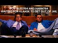Klaask764 THE OWNER OF N.L.M NO LIVES MATTER