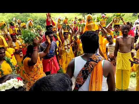 Pambai Isai video  Pambai songs  Pambai udukkai Padal  Pambai Padal  Amman songs tamil  pambai