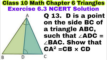 Class 10 Ex 6.3 Q 13 | Chapter 6 | Triangles | NCERT Solutions | CBSE | EXERCISE 6.3
