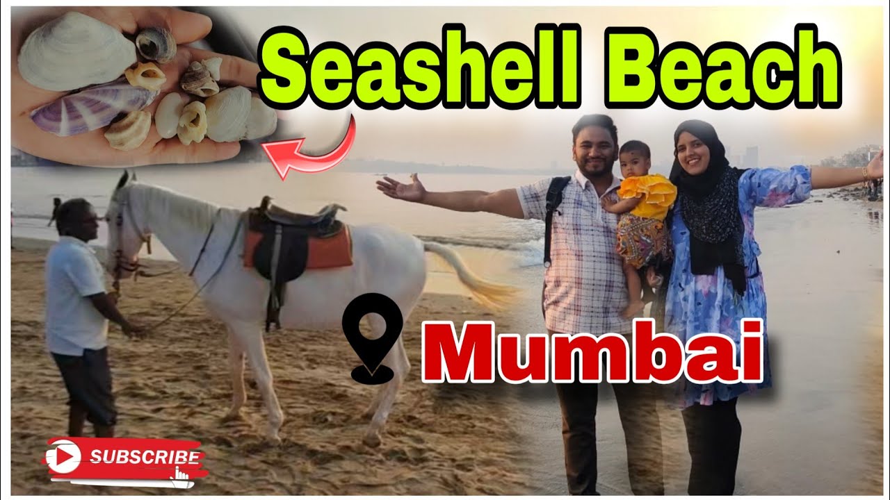 Hidden Seashell Beach, Mumbai | Seashell Collection | Varsova Beach Mumbai 