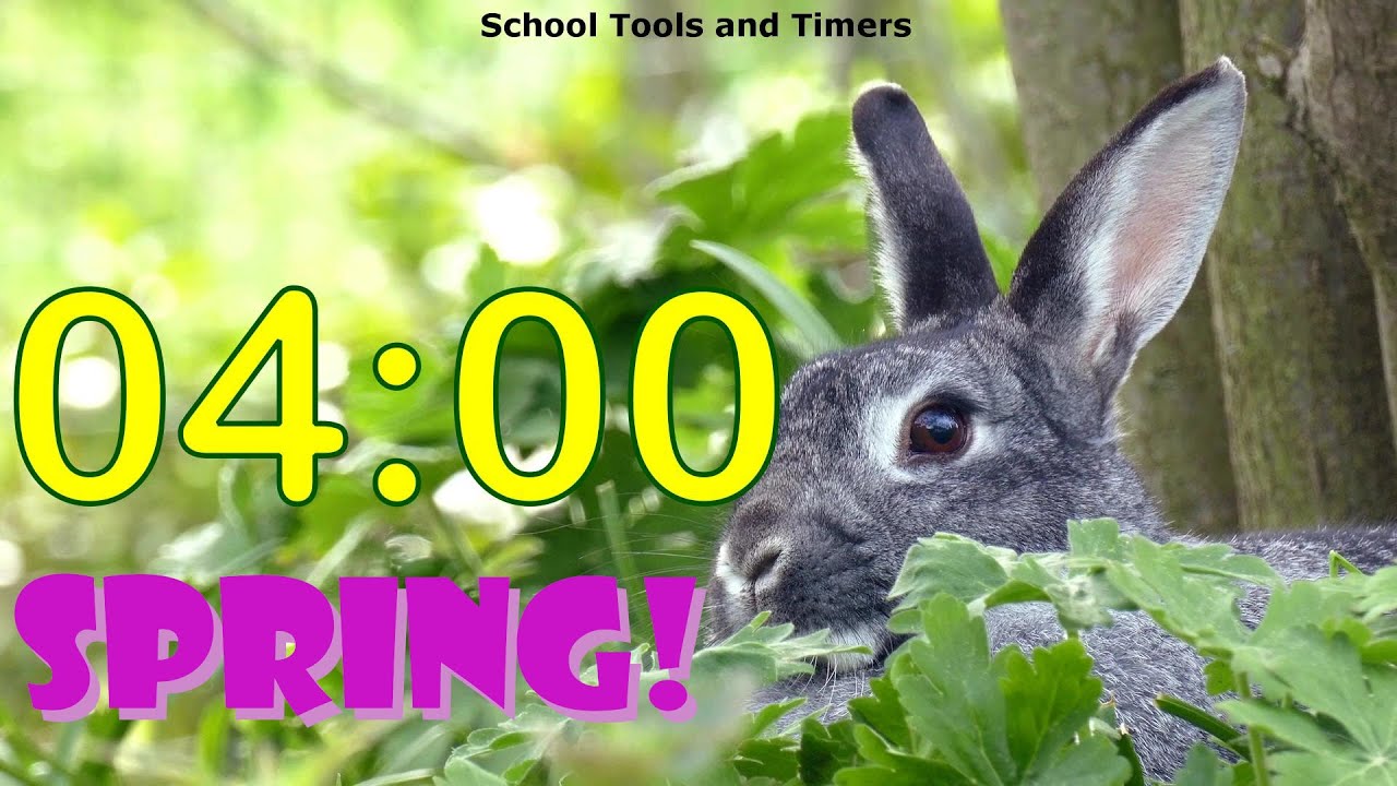 4 Minute Countdown Timer - Springtime Rabbit! 🐰 - YouTube
