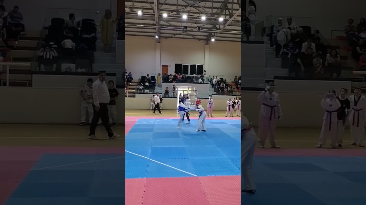 Ayvalik Kids Taekwondo Championship 
