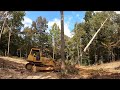 Clearing Trees for Pond Project - First time running this Bulldozer!