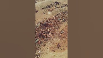 ارح سمعك بل قران كريم تلاوه هادئة تريح القلب