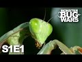 MONSTER BUG WARS | Death at Midnight | S1E1