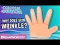 Understanding Why Skin Wrinkles in Water