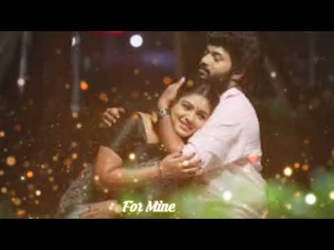 Ennodu vazha piranthavale Adhi ParvathiFull song Tamil 