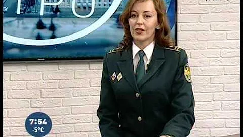 Чем занимаются таможенные посты