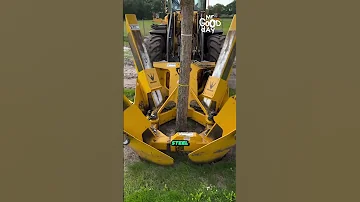 Moving A Tree With Its Roots Intact Shorts Tech 
