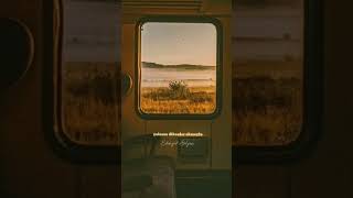 Yoluma Dikenler Ekmeyin... Resimi