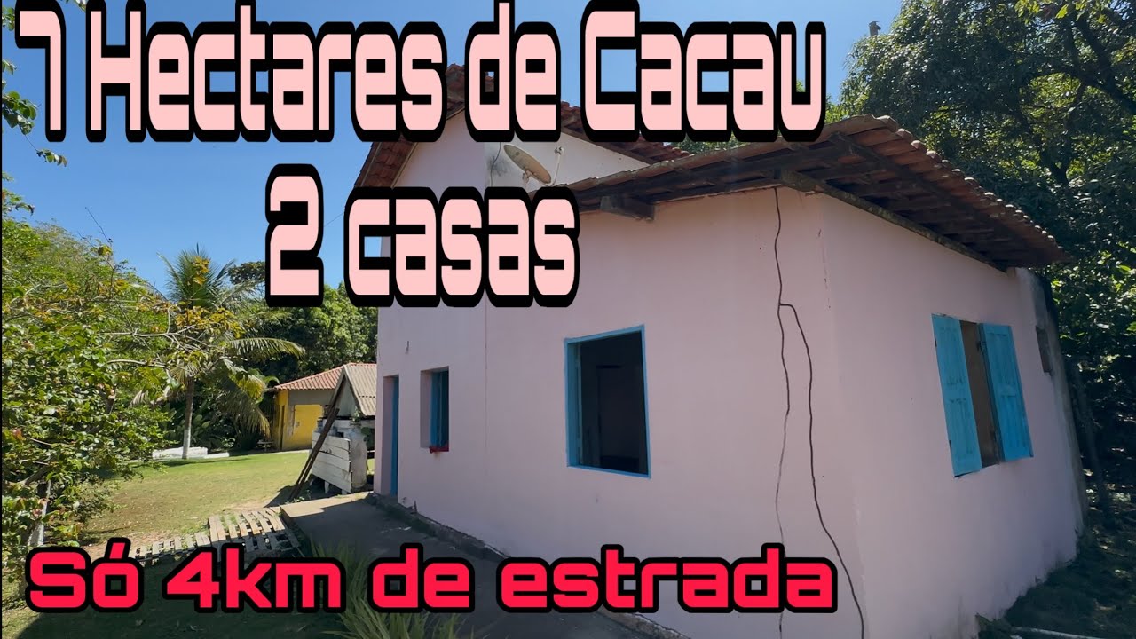 Sítio 9 hectares com 2 casa, Apenas 4 km de estrada. E produção de Cacau 
