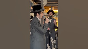 Thumbnail of תורה הקדושה אביי ורבא מוטי שטיינמץ מקהלת מלכות דודי פלדמן סיום כתיבת ספר תורה