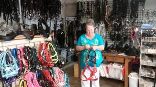 Horse Driving Tack, Horse, Draft, Mini, Donkey Harness