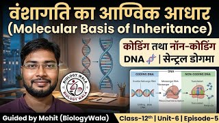 Coding vs Non-Coding Explained | DNA Secrets Rev. 🧬 | Central Dogma Made EASY 🔥| Class 12 Bio | Ep 5