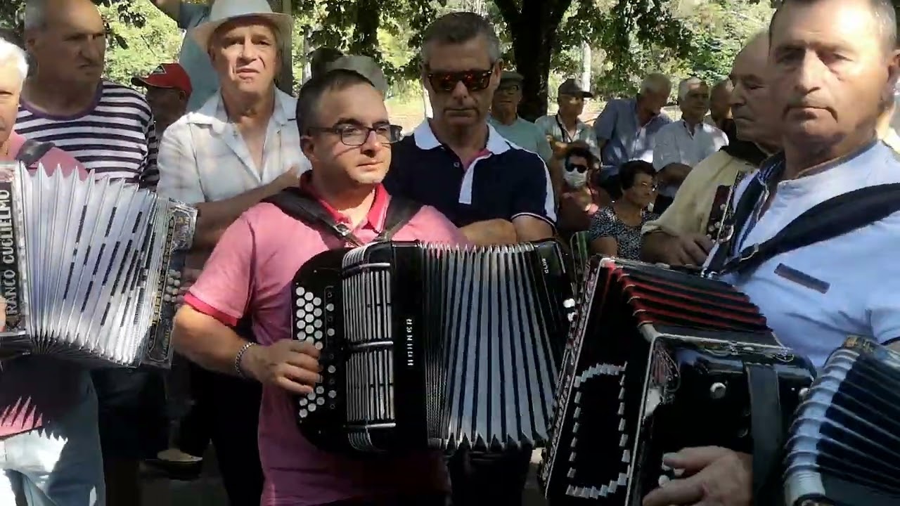 Um dos Melhores Tocador de Concertina do Minho. Paulinho de Vila Verde