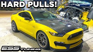 First Hard Pulls In 950Hp Ess Supercharged Shelby Gt350 Scary Fast