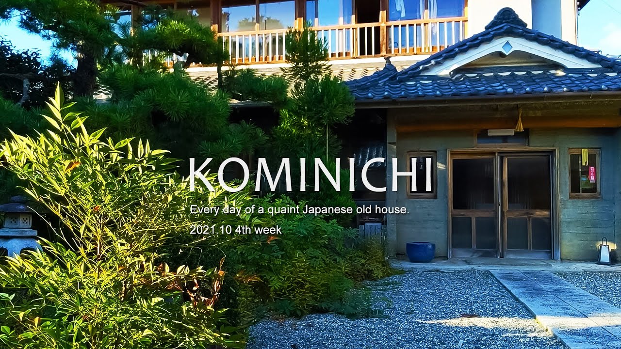 What a Mecopoda nipponensis  think before closing the life at the end of October?