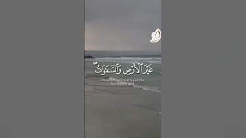 آيات من #سورة_إبراهيم #القارئ_الشيخ_محمود_الوليد #قرآن #تلاوة_خاشعة #تلاوة