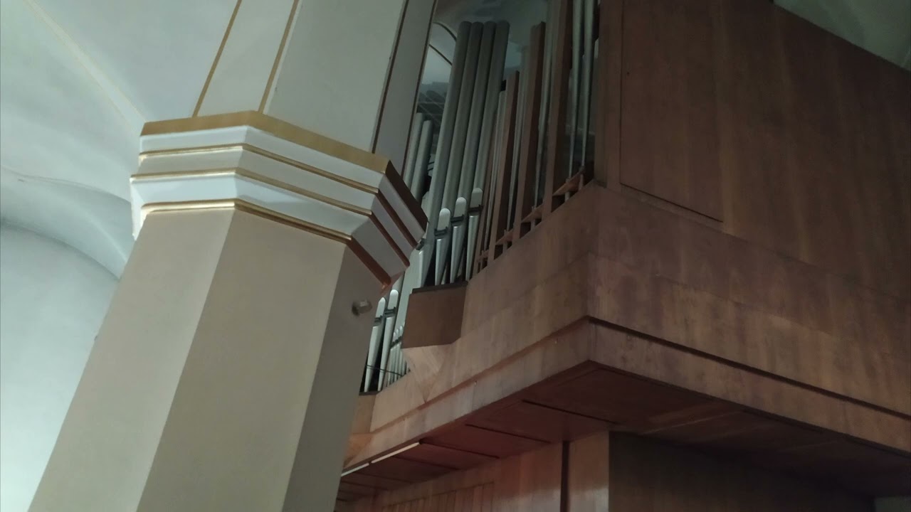 Pod Twój płaszcz się uciekamy [DN 848] | Nabożeństwo majowe w raciborskiej farze