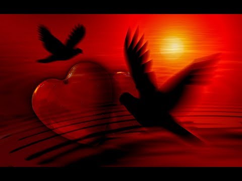 Helen Schneider   I'll see you once again