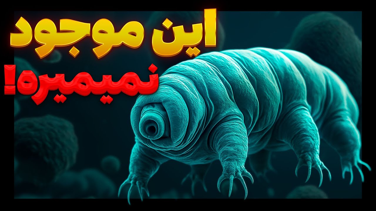 چجوری این موجود حتی در فضا هم زنده می‌مونه؟ 😨 خرس آبی یا تاردیگرید چیه؟