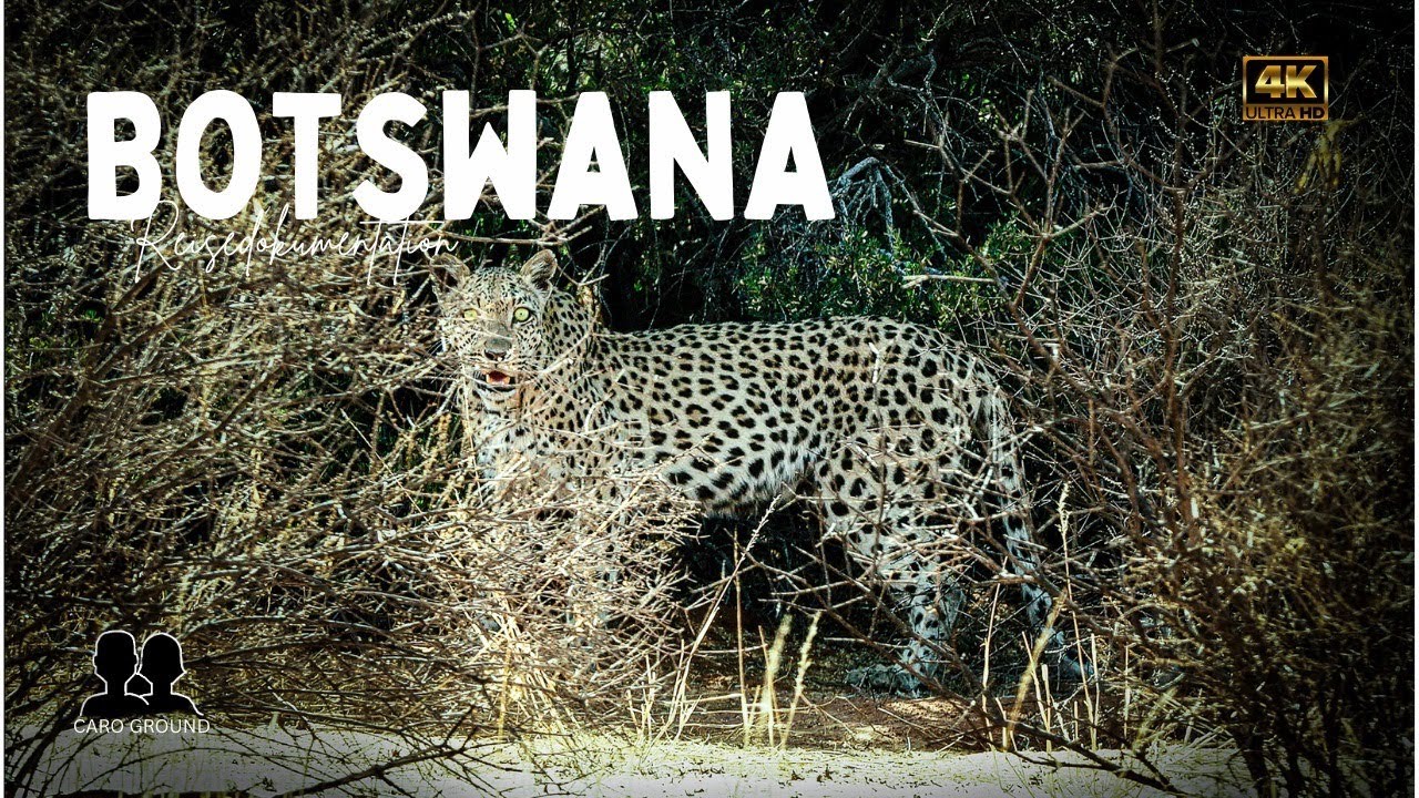 Die Safari unseres Lebens - Kalahari & Okavango Delta - Vollversion