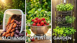 10 Dollar Tree Gardening Hacks That ACTUALLY Work for Containers