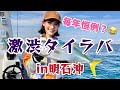 【激渋タイラバ攻略?!】激ムズの明石沖で今年も釣ってきました!!