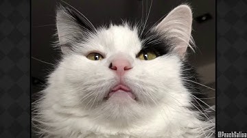 Ruby Weapon Hour - Dark Souls 3 (Part 3) ft. Plague Of Gripes