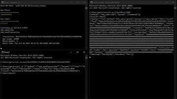 PD-4.1.2 Use ganache cli Windows WS Subscriptions