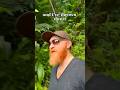 #countrymusic #newmusic #originalsong #unreleased #songwriter #ericpaslay #shorts