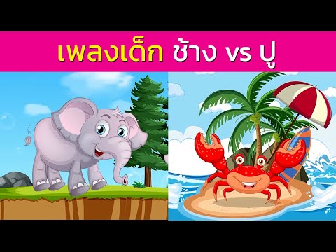 เพลงเด็ก ช้างช้างช้าง vs จับปูดำ | kiku land