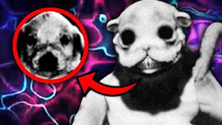 Shipwrecked 64 gets UNHINGED